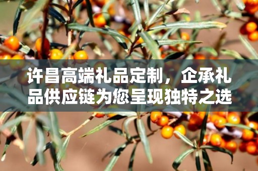 许昌高端礼品定制，企承礼品供应链为您呈现独特之选