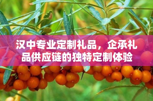 汉中专业定制礼品，企承礼品供应链的独特定制体验